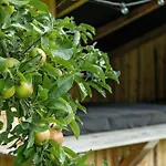 Abne Rum Og Hyggelige Kroge I Ristinge * Хамбл