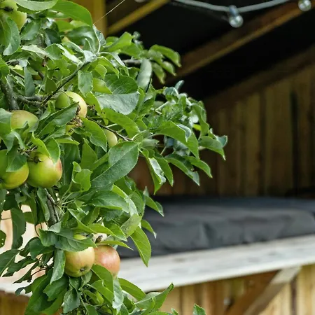 Open Spaces And Cozy Corners In Ristinge * Nordenbro Vesteregn