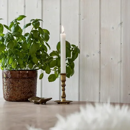 Abne Rum Og Hyggelige Kroge I Ristinge Дом отдыха Хамбл